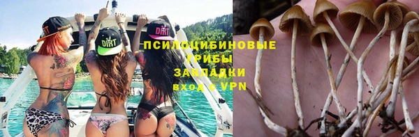 марки lsd Вяземский