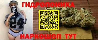 СК Гагарин
