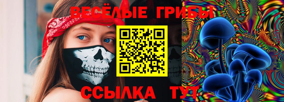 Псилоцибиновые грибы Cubensis  Псилоцибиновые грибы мицелий  Вход с VPN  Москва 